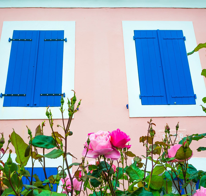 mur rose